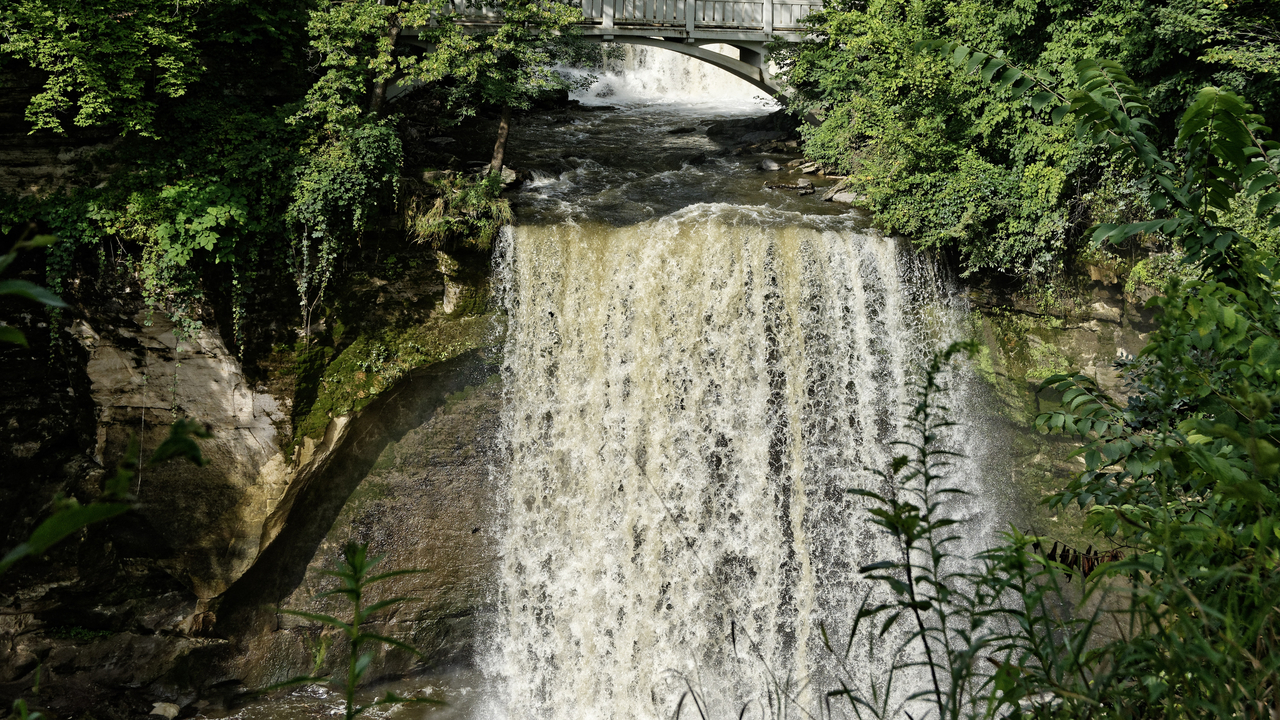 20190801-093042••North Mankato•Minnesota•USA